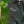 Load image into Gallery viewer, Cargo Pants - Kaki