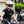 Load image into Gallery viewer, Sand Rider T-Shirt - Black