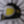 Load and play video in Gallery viewer, Spring Moto Tee - Kaki
